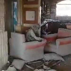 عملية قتل السنوار تنهي مطاردة إسرائيلية استمرت عاما كاملا