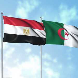 مصر الجزائر