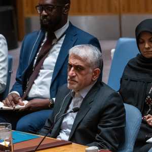 المندوب الإيراني في مجلس الأمن أمير سعيد إيرواني