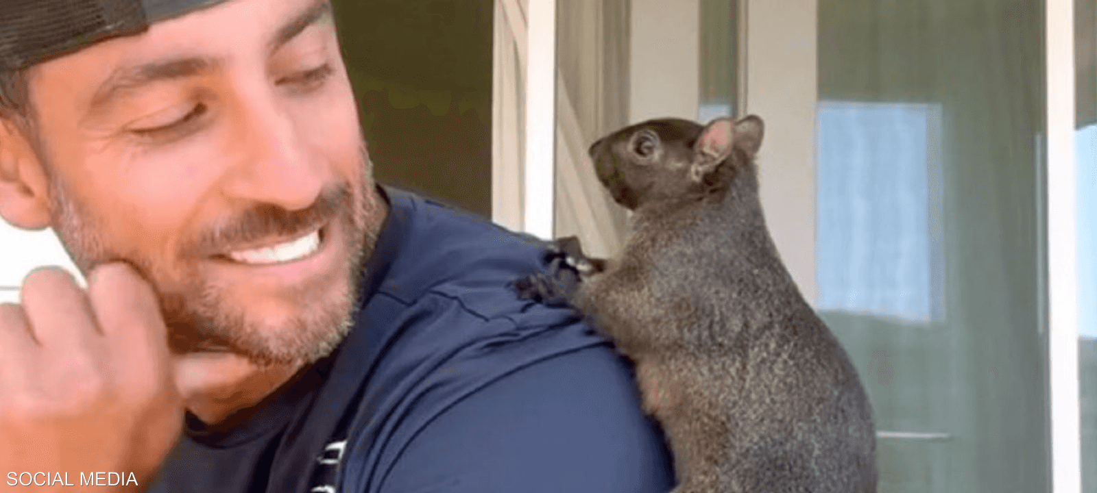 أعدمت ولاية نيويورك السنجاب بعد ورود تقارير بأنه عض شخصا