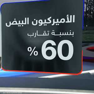 المجموعات العرقية ووزنها الانتخابي