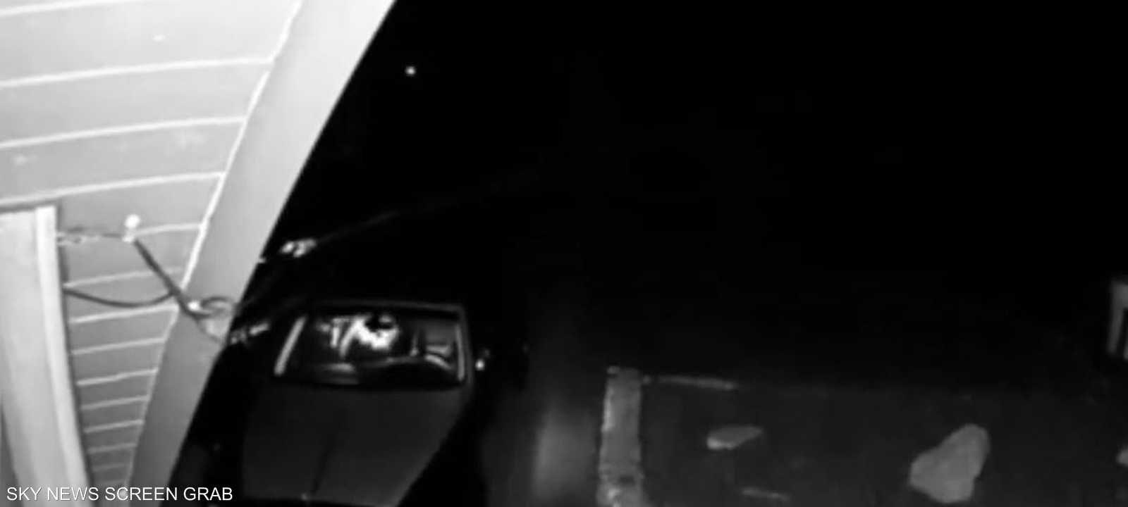 فيديو يظهر الدب خلال تحطيم السيارة