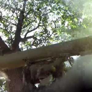 مقاتل من حزب الله يطلق صاروخا محمولا على الكتف