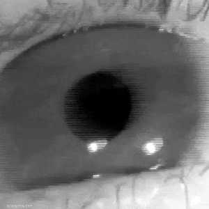 أجريت الدراسة على 8623 شخصًا