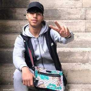 الجمل لقي مصرعه أثناء مطاردة الشرطة له