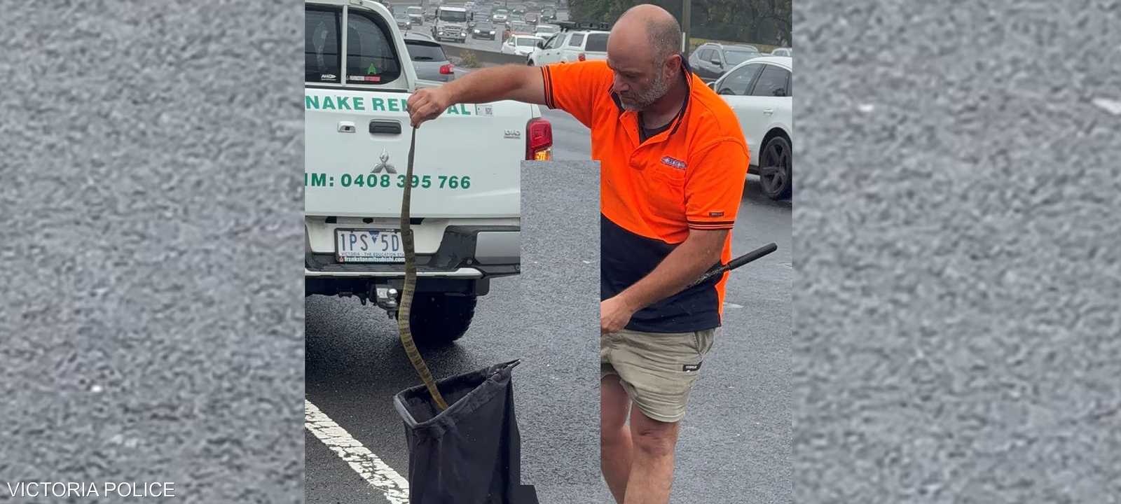 الحادثة الغريبة وقعت في أستراليا