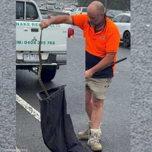 الحادثة الغريبة وقعت في أستراليا