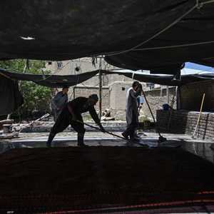 فيديوهات تنظيف السجاد تحصد متابعات على مواقع التواصل