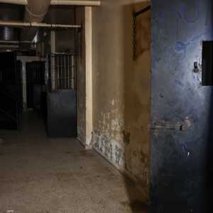 خروج مساجين "صيدنايا"