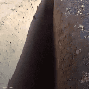 ظهر في الفيديو صفوف من القبور والحفر