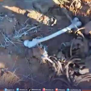 من المقبرة الجماعية التي عثر عليها في ريف درعا
