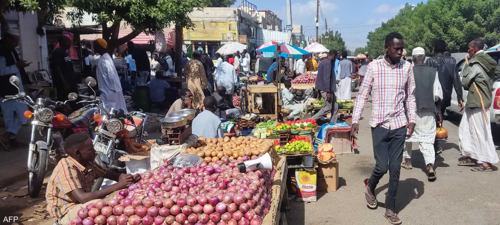 يعاني السودان من 20 شهرا من القتال