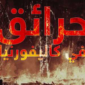 حرائق الغابات في لوس أنجلوس