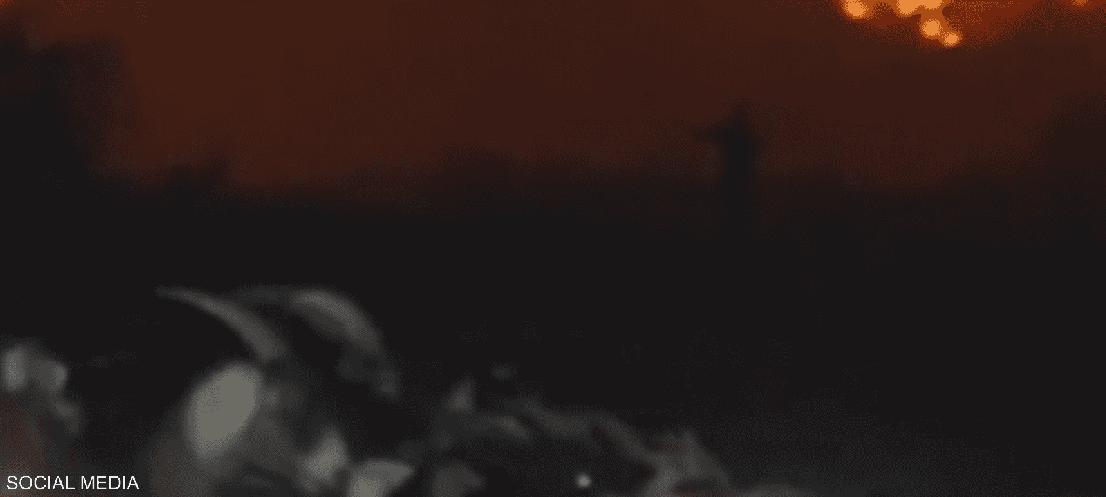 الحريق اندلع في باليساديس بلوس أنجلوس