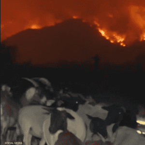 الحريق اندلع في باليساديس بلوس أنجلوس