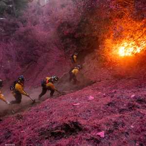 يكافح رجال الإطفاء لوقف حرائق الغابات في لوس أنجلوس