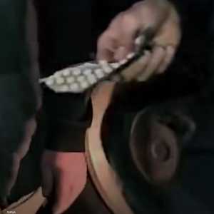 اكتشاف كميات كبيرة من حبوب الكبتاغون