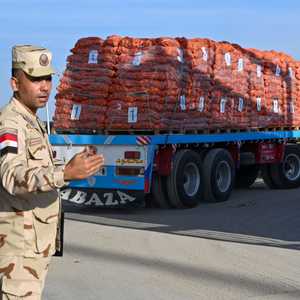 المساعدات الإنسانية تتدفق إلى قطاع غزة عبر الحدود مع مصر