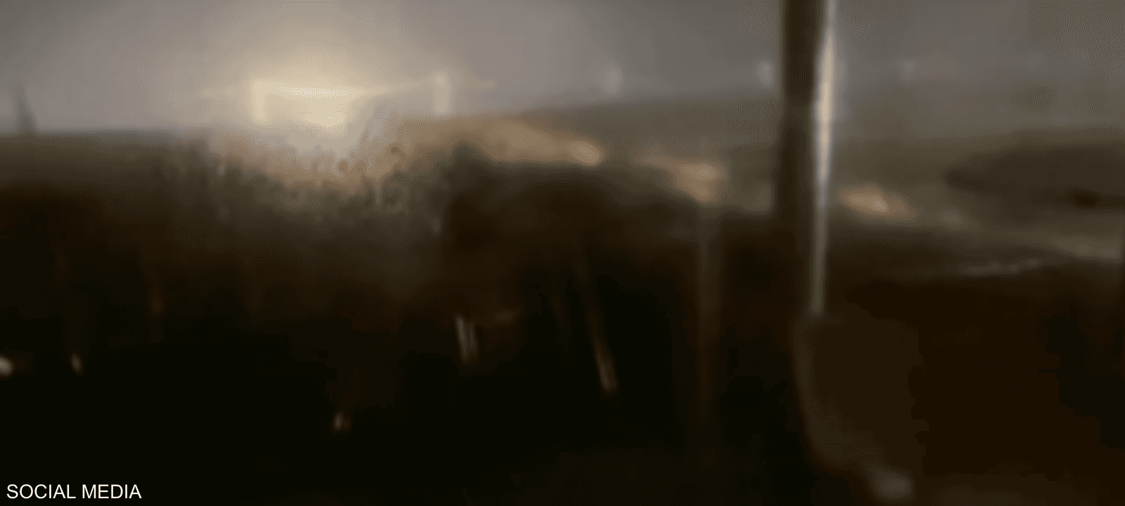 تم إصدار تحذير بعدم السفر وإلغاء الرحلات الجوية بسبب العاصفة