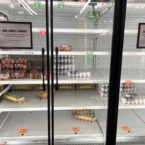 بيض الدجاج أصبح يمثل أزمة في الولايات المتحدة