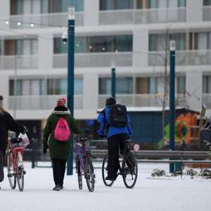 دراسة كشفت علاقة الذهاب إلى العمل بالدراجات وتقليل الغياب