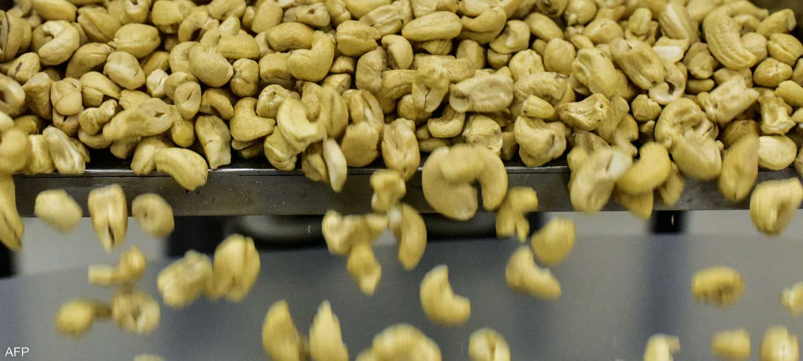 يعد الكاجو مصدرا جيدا للدهون الأحادية والمتعددة غير المشبعة