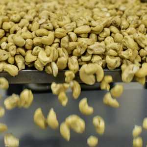 يعد الكاجو مصدرا جيدا للدهون الأحادية والمتعددة غير المشبعة