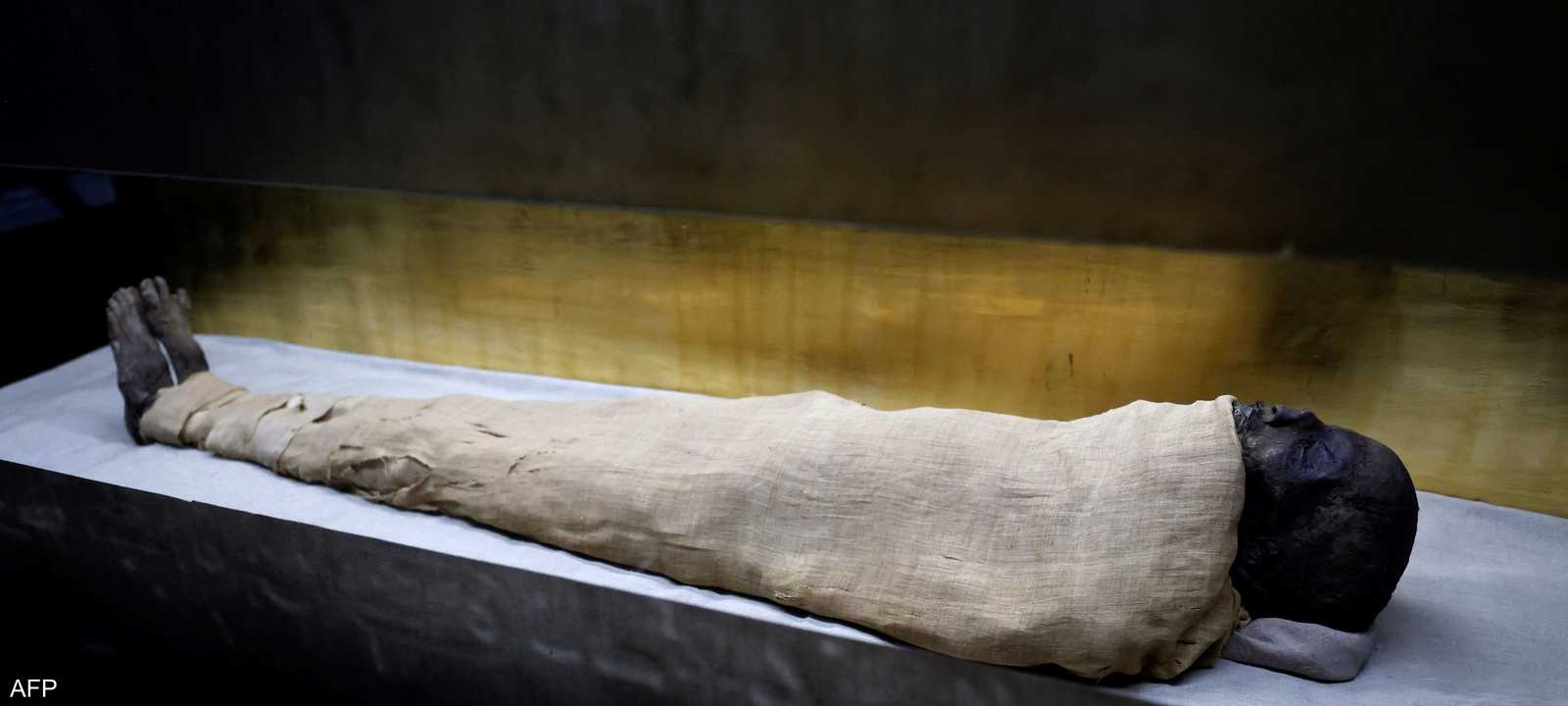 مومياء فرعونية