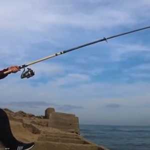 تروفانوف في قطاع غزة قبيل تحريره