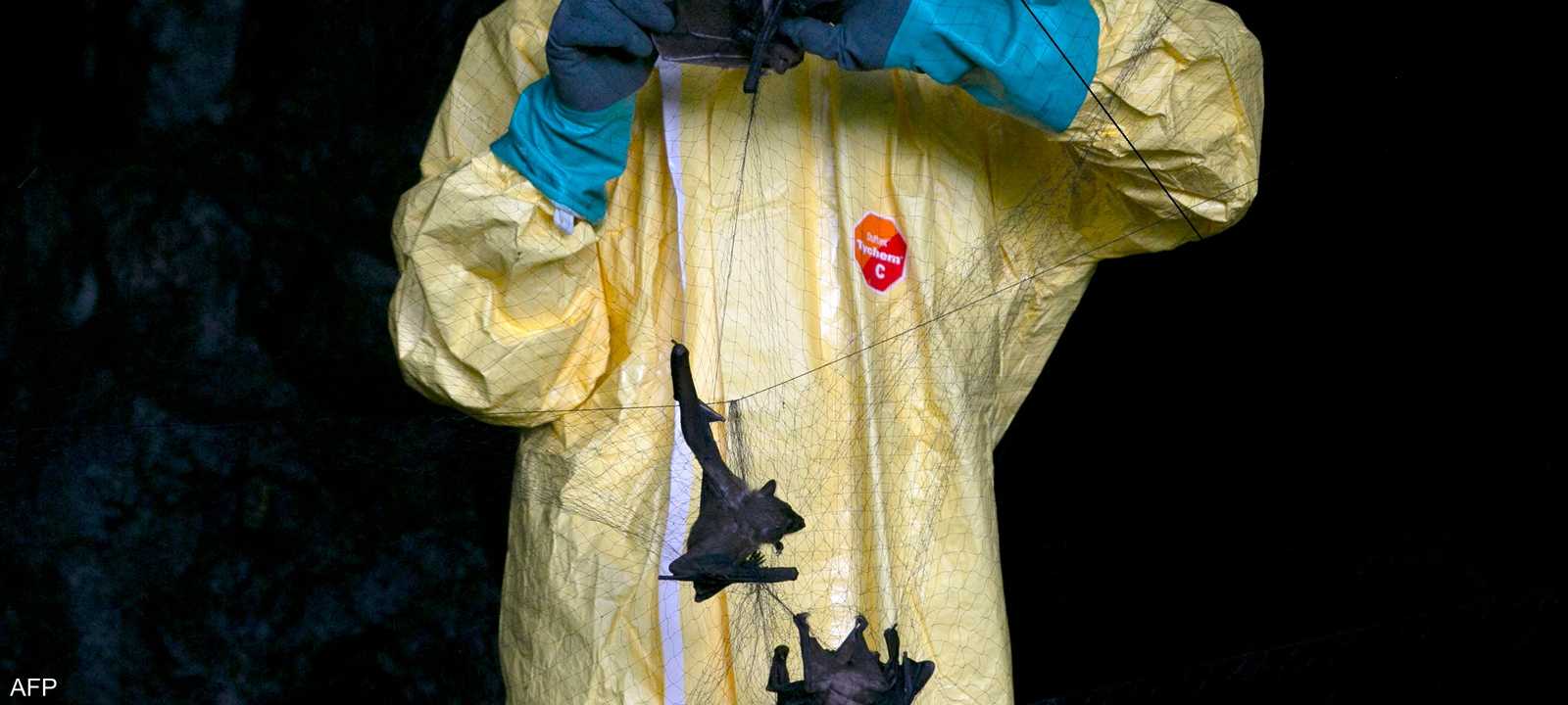 الفيروس الجديد اكتشف في الخفافيش