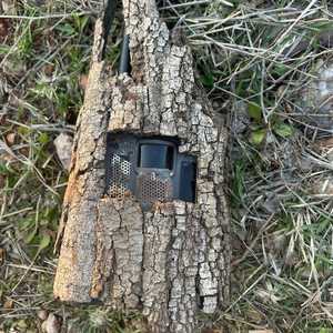 أجهزة التجسس الإسرائيلية كانت داخل الأشجار