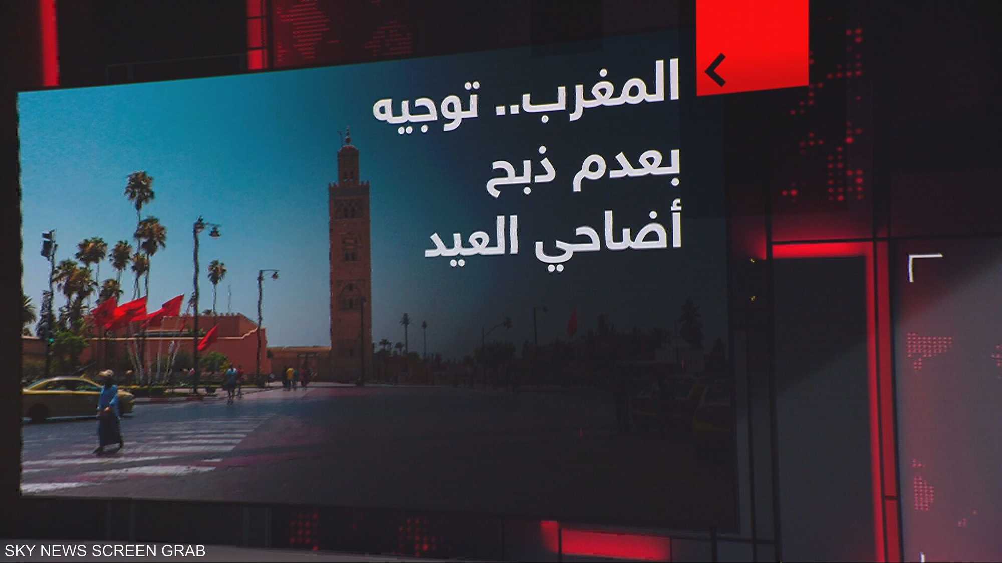 المغرب.. توجيه بعدم ذبح أضاحي العيد