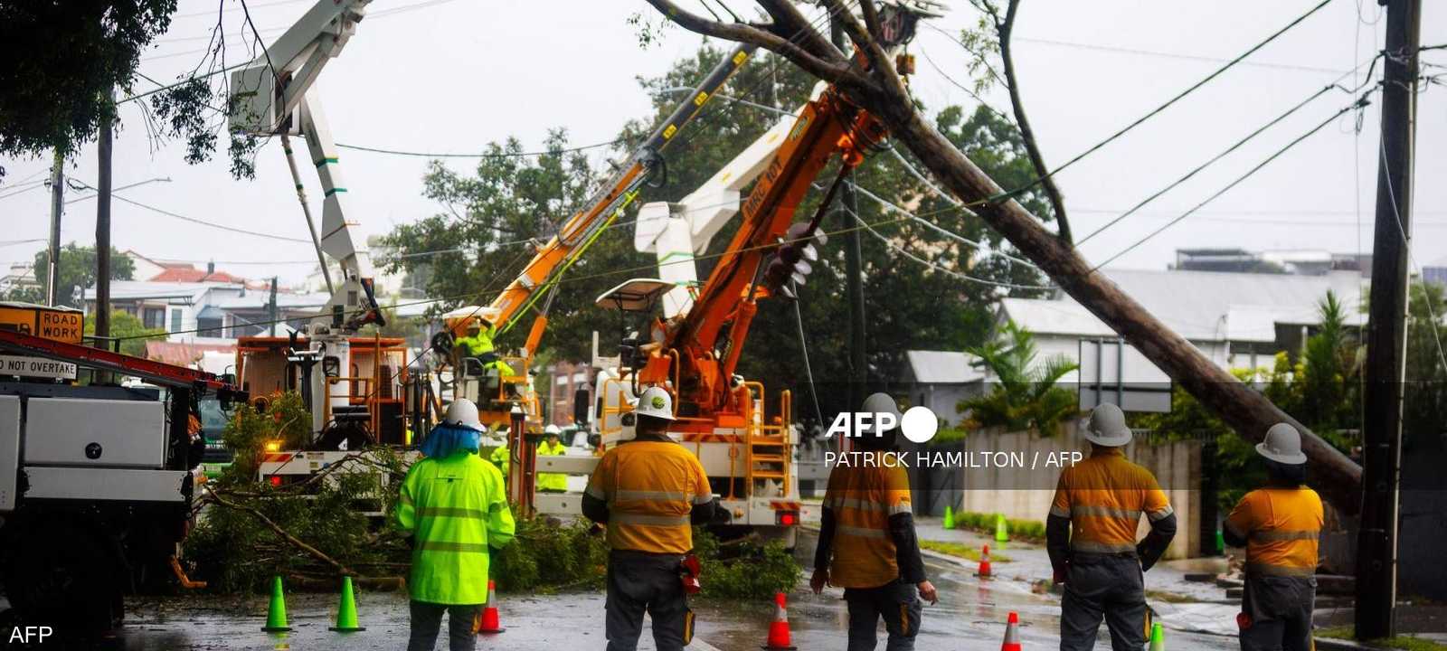 العاصفة القوية اقتلعت الأشجار