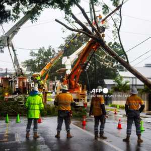 العاصفة القوية اقتلعت الأشجار