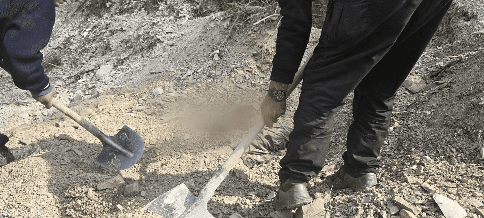 مقبرة جماعية في اللاذقية