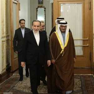 قرقاش وعراقجي