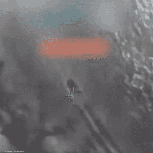 تمت العملية بدعم وتنسيق من قوات التحالف الدولي