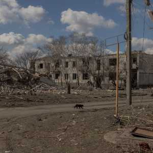 وافقت كل من أوكرانيا وروسيا مبدئيا على وقف مبدئي للهجمات