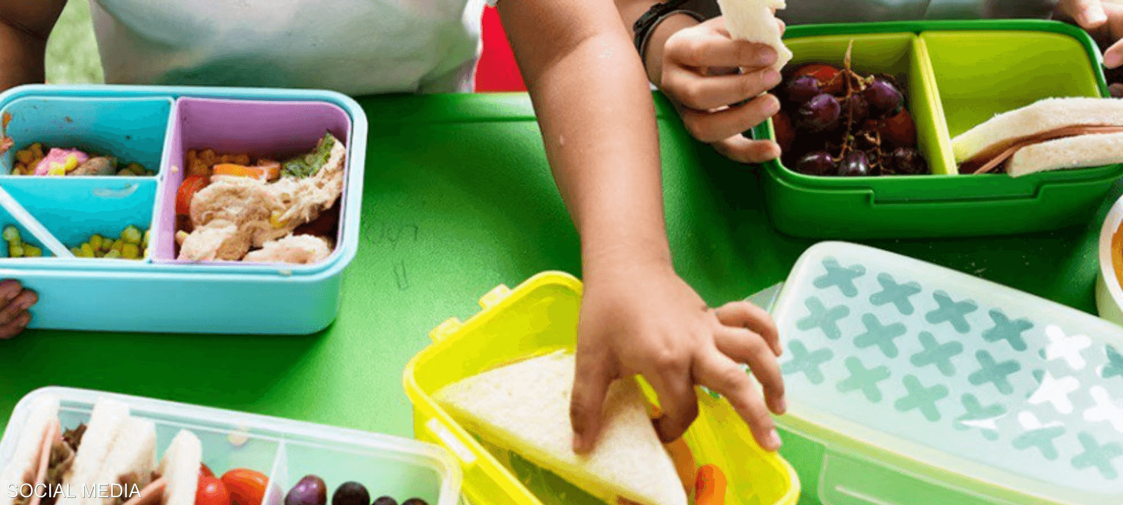 مدارس المكسيك.. وداعا للوجبات السريعة