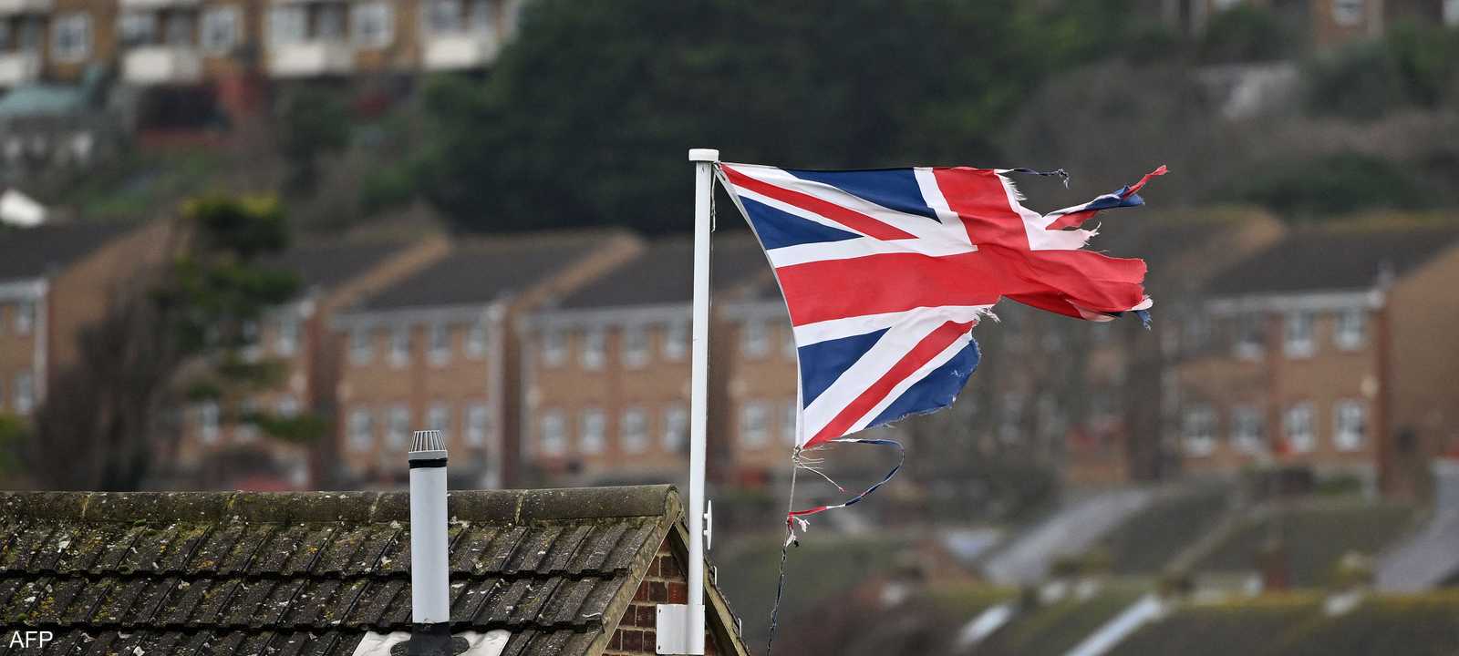 تعاني المباني في بريطانيا من انتشار الفئران والصراصير بها