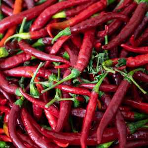 يبحث العلماء عن عوامل يمكنها الوقاية من سكري الحمل