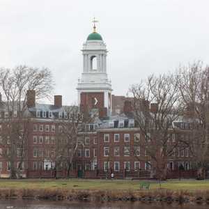 جامعة هارفارد