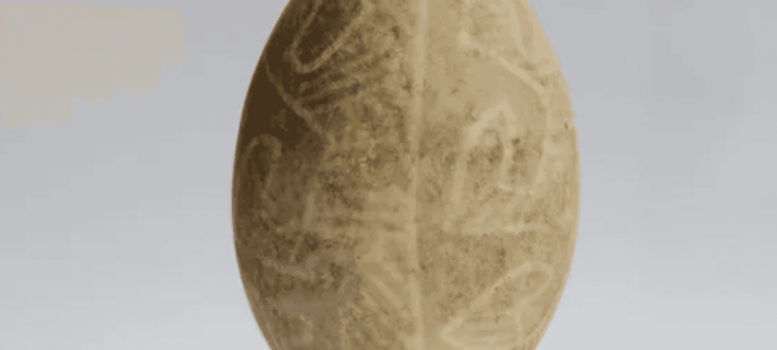 تُعرض "بيسانكا لفيف" في متحف البيسانكا بمدينة كولوميا