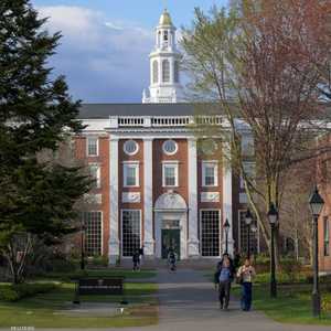 جامعة هارفرد