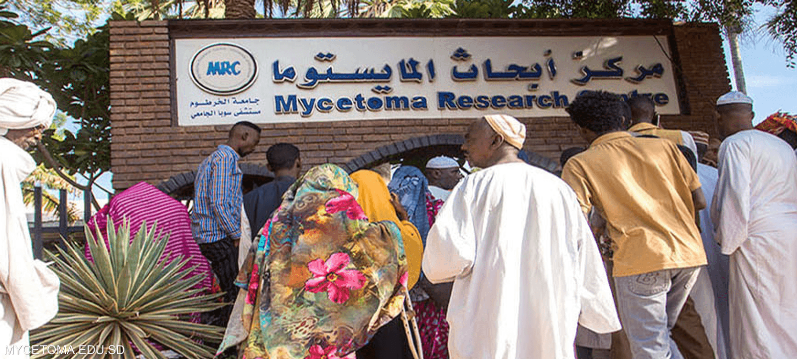 المركز الوحيد في العالم لأبحاث المايستوما