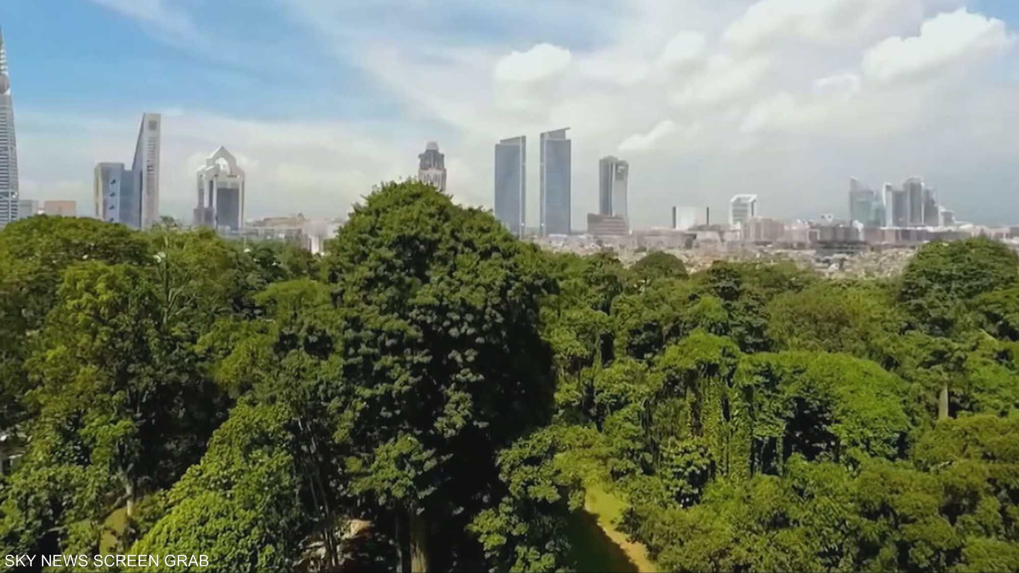 رؤية السعودية 2030.. رؤية مستدامة بخطوات واثقة