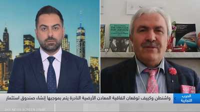 أستاذ الاقتصاد السياسي ناصر قلاوون