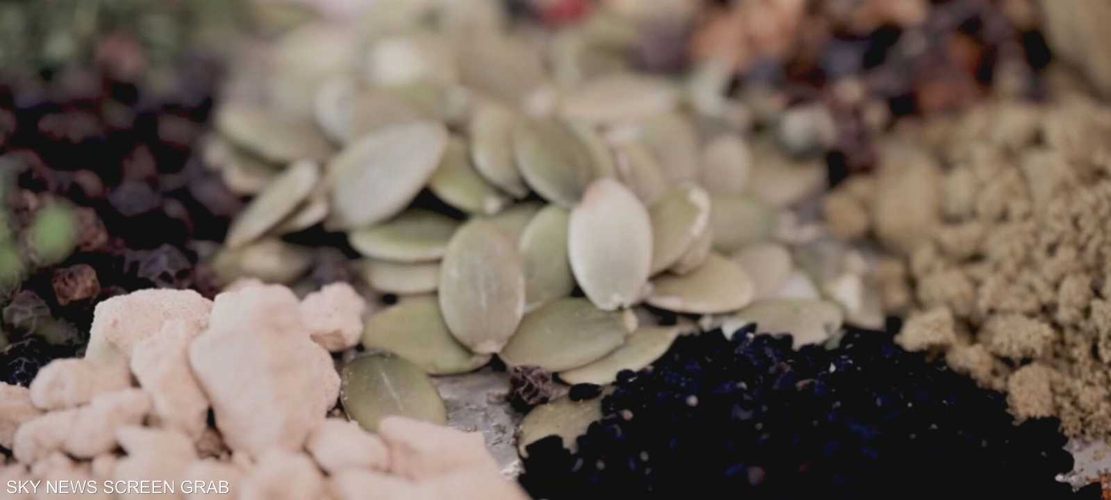 ترند استخدام البذور .. حقيقة أم خيال؟