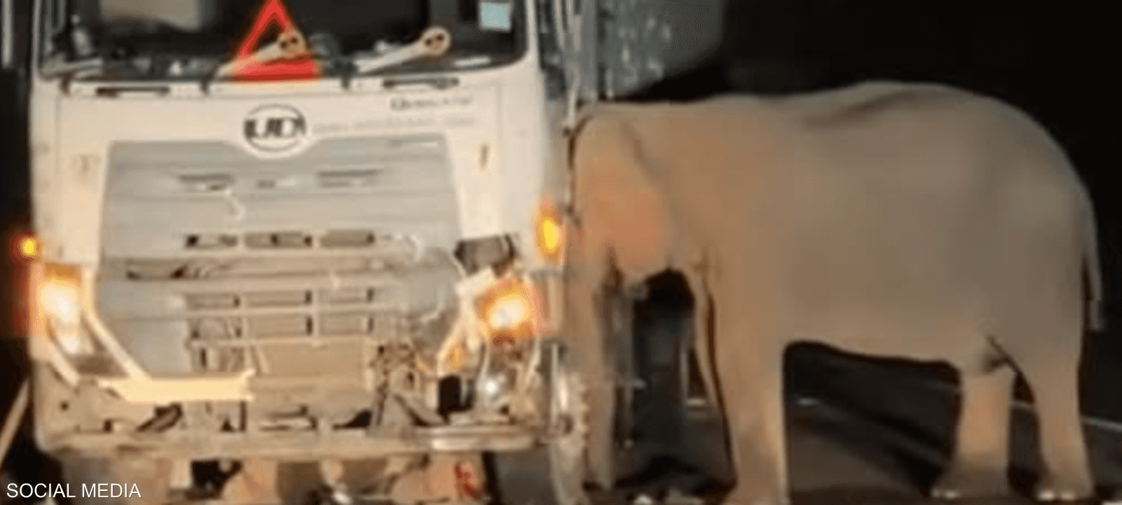 أتلفت أنثى الفيل مقدمة الشاحنة