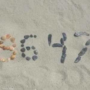 رسالة الأصداف المشفرة التي نشرها كومي